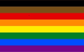 POC pride flag